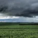 Setor agropecuário pressiona Congresso para reverter veto à blindagem do seguro rural