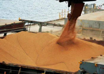 Alta da soja contrasta com queda nos embarques de trigo e milho, projeta Anec