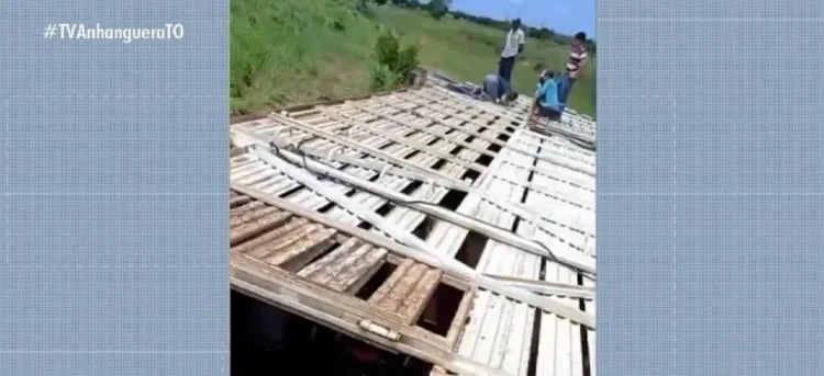 Caminhão com mais de 80 cabeças de gado tomba no km 38 da TO-222, em Filadélfia, e mata seis animais