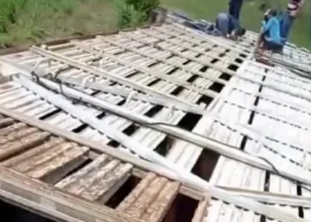 Caminhão com mais de 80 cabeças de gado tomba no km 38 da TO-222, em Filadélfia, e mata seis animais