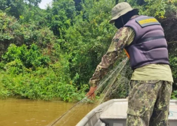 Fiscalização aperta durante a Piracema no Norte e Sul do Tocantins