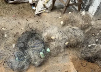 Operação Piracema ganha reforço no norte do Tocantins contra pesca predatória