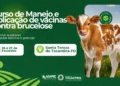 Curso capacita produtores em manejo e aplicação de vacinas contra brucelose em Santa Tereza e Ananás