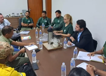 Cantão define ações de Manejo Integrado do Fogo para prevenir incêndios florestais em 2026