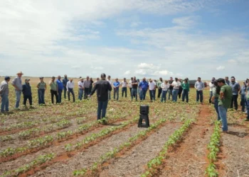 Caravana da Produção 2026 apresenta evolução tecnológica do algodão em visita à Agro Brasil, em Tocantínia