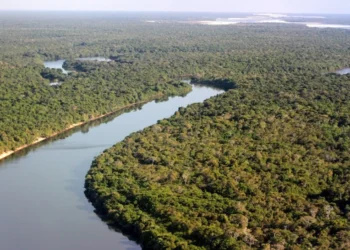 Plano integrado provoca queda histórica das queimadas no Cantão em 2025