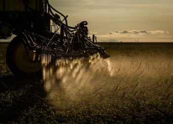 Estudo do Ipea revela uso excessivo de defensivos na maioria dos municípios