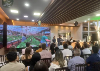 Produtores discutem cenário internacional do agro e estratégias para 2026 em Palmas