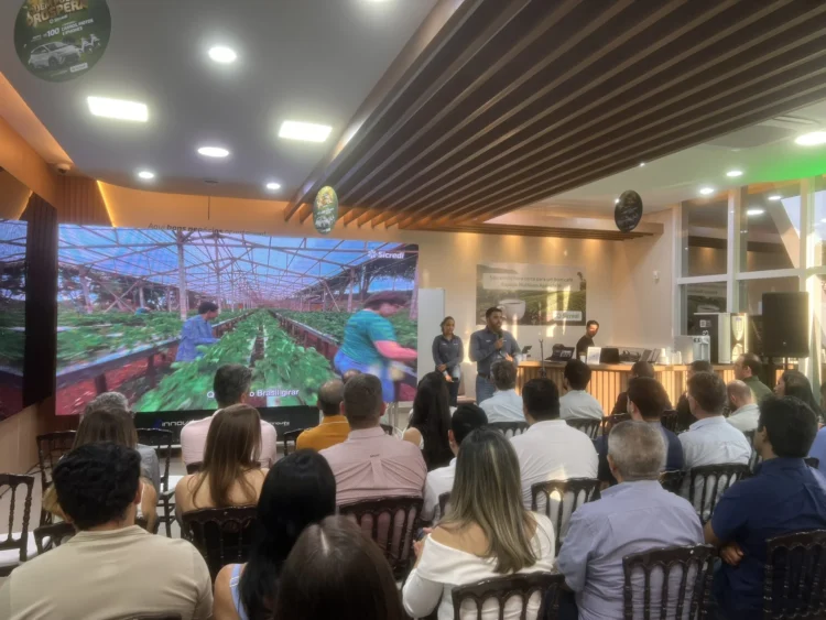 Produtores discutem cenário internacional do agro e estratégias para 2026 em Palmas