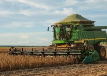 Projeções da StoneX indicam alta na produção de soja e milho em 2025/26