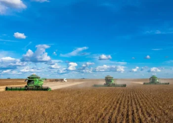 Chuvas impulsionam colheita da soja e índice chega a 16% no Brasil