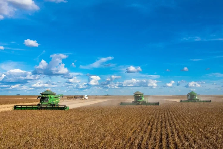 Chuvas impulsionam colheita da soja e índice chega a 16% no Brasil