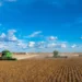 Chuvas impulsionam colheita da soja e índice chega a 16% no Brasil