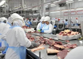 Equador autoriza importação de novos produtos bovinos e avícolas do Brasil