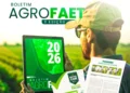 FAET lança 3ª edição do Boletim AgroFAET com análise do mercado de trabalho e desempenho do agronegócio tocantinense