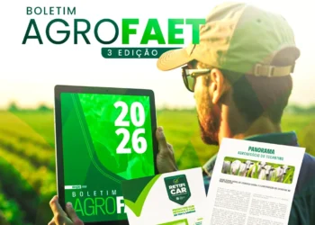 FAET lança 3ª edição do Boletim AgroFAET com análise do mercado de trabalho e desempenho do agronegócio tocantinense