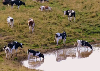 Uso de água no agronegócio dispara e supera consumo urbano de grandes estados