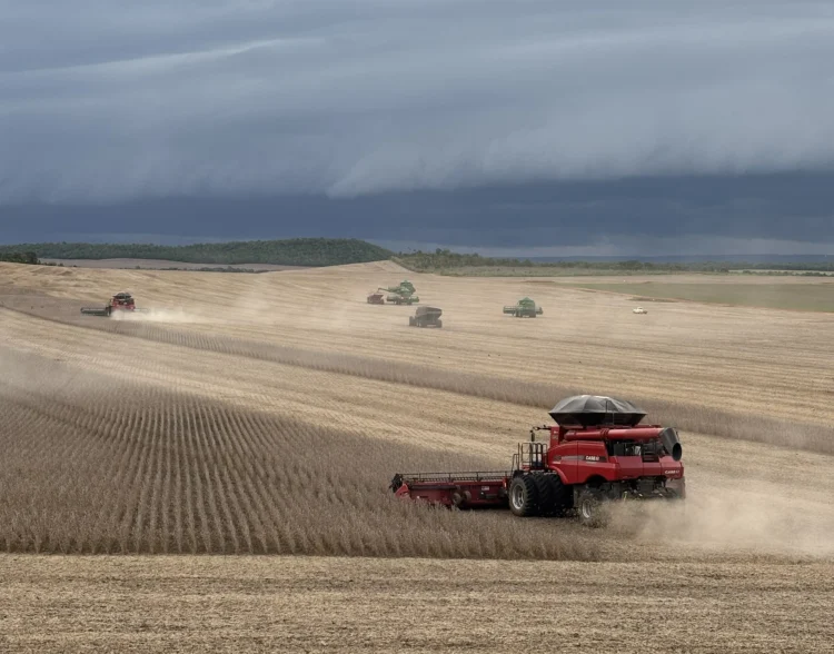 Frísia avalia início da colheita de soja e projeta cenário da safrinha no Tocantins