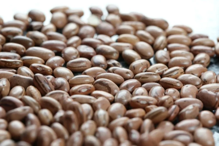 Preço do feijão-carioca sobe forte e alcança patamar recorde no mercado