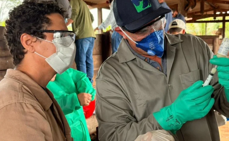 Produtores de Ananás e Santa Tereza são capacitados para vacinação contra brucelose