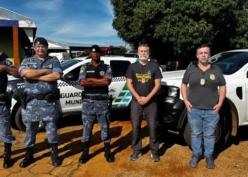 Ação conjunta flagra abate ilegal em Monte do Carmo e apreende carne sem inspeção