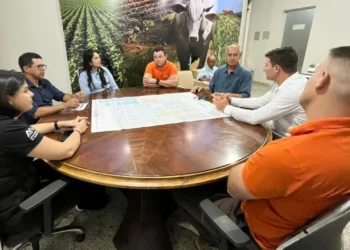 Cooperativa de crédito amplia atuação no Tocantins e mira expansão do financiamento rural