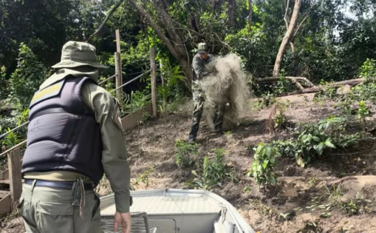 Operação apreende mais de 4 mil metros de redes de pesca no norte do Tocantins