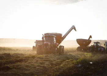 Produtores do RS suspendem colheita por falta de combustível nas máquinas