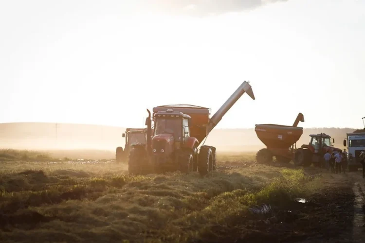 Produtores do RS suspendem colheita por falta de combustível nas máquinas