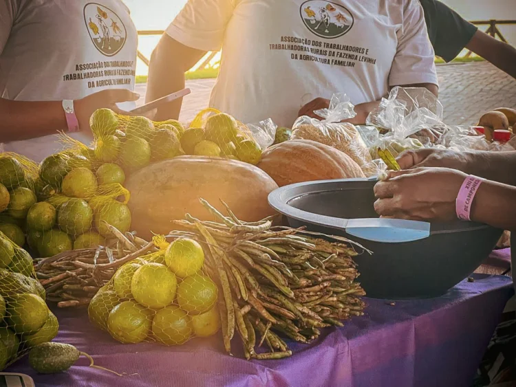 Araguaína recebe a 7ª Feira Expositiva da Agricultura Familiar e Artesanatos das Mulheres Camponesas do Tocantins