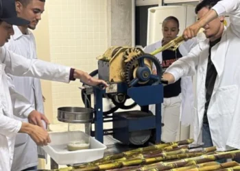 UniCatólica prepara acadêmicos de Agronomia para mercado de trabalho com aula sobre cana-de-açúcar