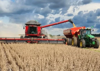 Colheita da soja avança no Tocantins e confirma safra satisfatória, apesar dos desafios logísticos