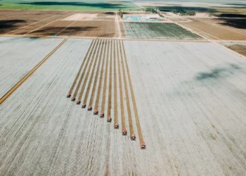 Exigência por rastreabilidade cresce e abre portas para o agro nos mercados externos