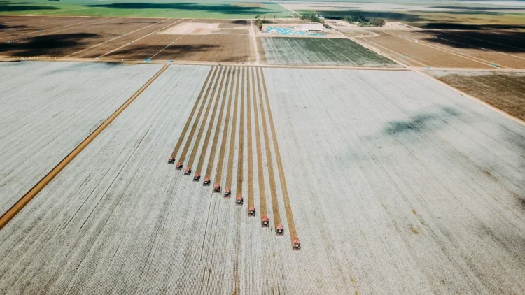 Exigência por rastreabilidade cresce e abre portas para o agro nos mercados externos
