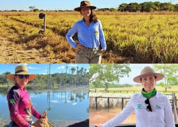 Pecuária tocantinense ganha força com presença feminina na gestão das fazendas