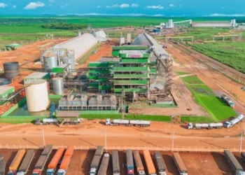 Expansão da soja no Tocantins evidência papel estratégico das agroindústrias na absorção da safra