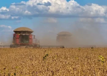 Conab aponta colheita de soja em 41,7% no Brasil; confira o avanço por região