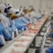 Venda de frango brasileiro ao exterior deve crescer em 2026, aponta USDA