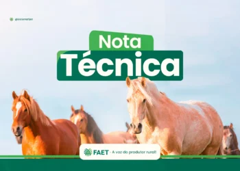 FAET divulga Nota Técnica sobre Influenza Equina no Tocantins