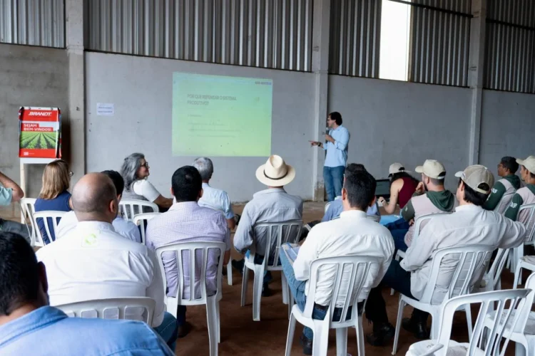 Estado do Tocantins sedia o 1º Encontro de Agricultura Regenerativa Tropical