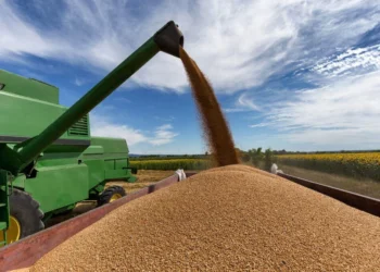 Agronegócio impulsiona crescimento da balança comercial do Tocantins em 2025