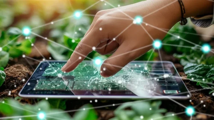 Mesmo com expansão no país, Tocantins registra redução de agtechs, aponta Embrapa