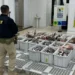 700 kg de peixe sem origem comprovada são apreendidos durante a Semana Santa