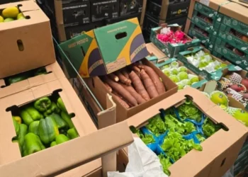 Exportação inédita leva hortifrútis frescos do Brasil direto para ilha africana