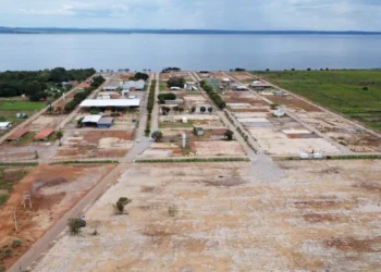 Estado acelera montagem da Agrotins 2026 e destaca vitrines tecnológicas com novas culturas, como baunilha do Cerrado e lúpulo