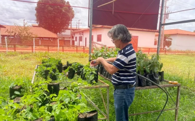 Com foco em inovação, Ruraltins apresenta alternativas de diversificação na Agrotins 2026