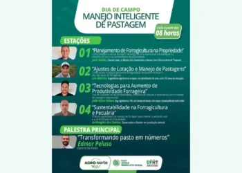 Senar Tocantins realiza Dia de Campo em Araguaína com foco em produção intensiva de pastagens