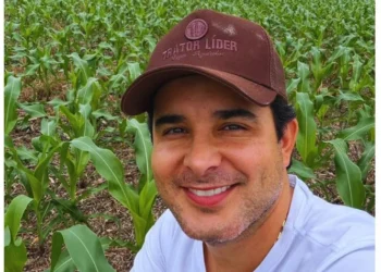 Recuperação judicial no agro cresce e reflete cenário de maior pressão sobre produtores