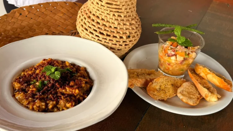 Pequenos negócios de Colinas do Tocantins ganham vitrine de lucro e inovação em feira gastronômica