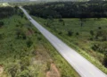 TO-010 terá 80 km de obras com investimento de R$ 240 milhões para impulsionar o Bico do Papagaio